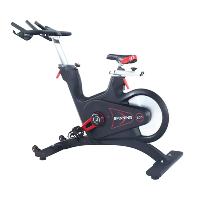 Home Gym Exercise - Cyclette Professionale con Resistenza Magnetica per