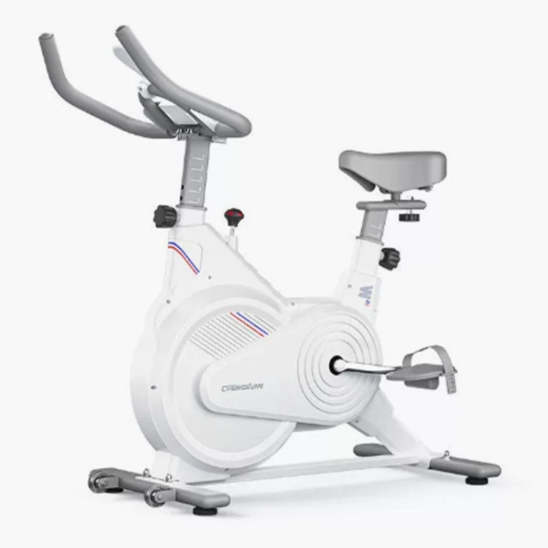 Home Gym Ideas - Cyclette da Interno, Bici da Spinning
