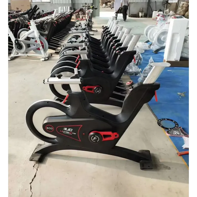 Cyclette Professionale con Res - Home Gym Exercise recensione e prezzo