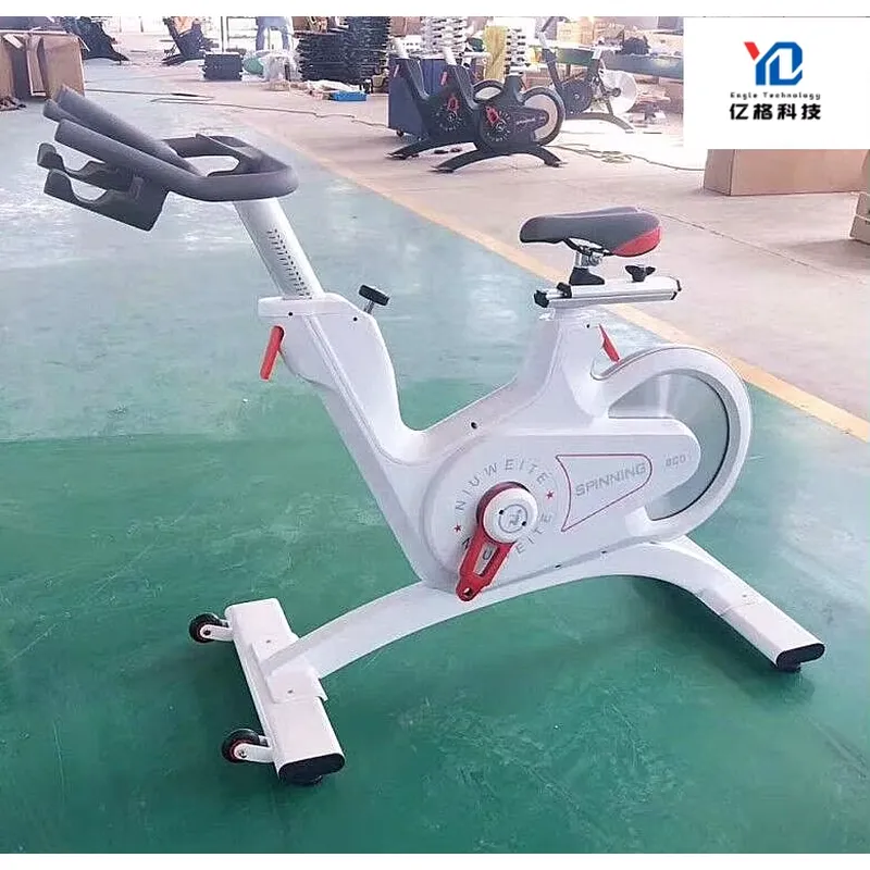YG-S005 YG Fitness Cyclette Co - Home Gym Exercise recensione e prezzo