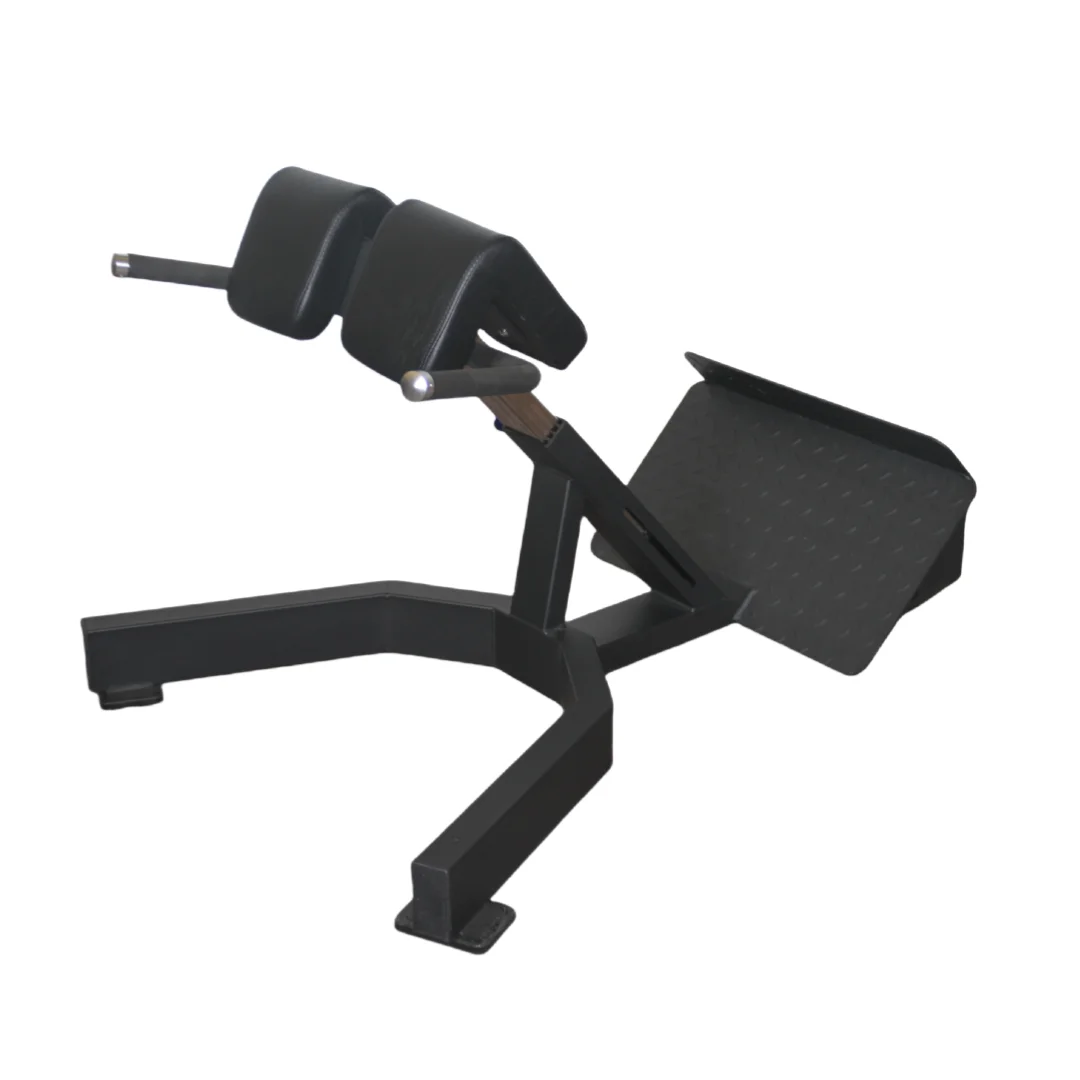 Panca Romana per Estensioni Sc - Home Gym Leg Extension Machine recensione e prezzo